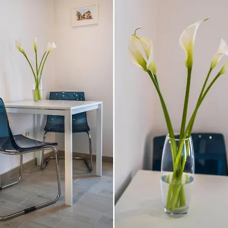 Mikula And Cvita Stone House דירה *